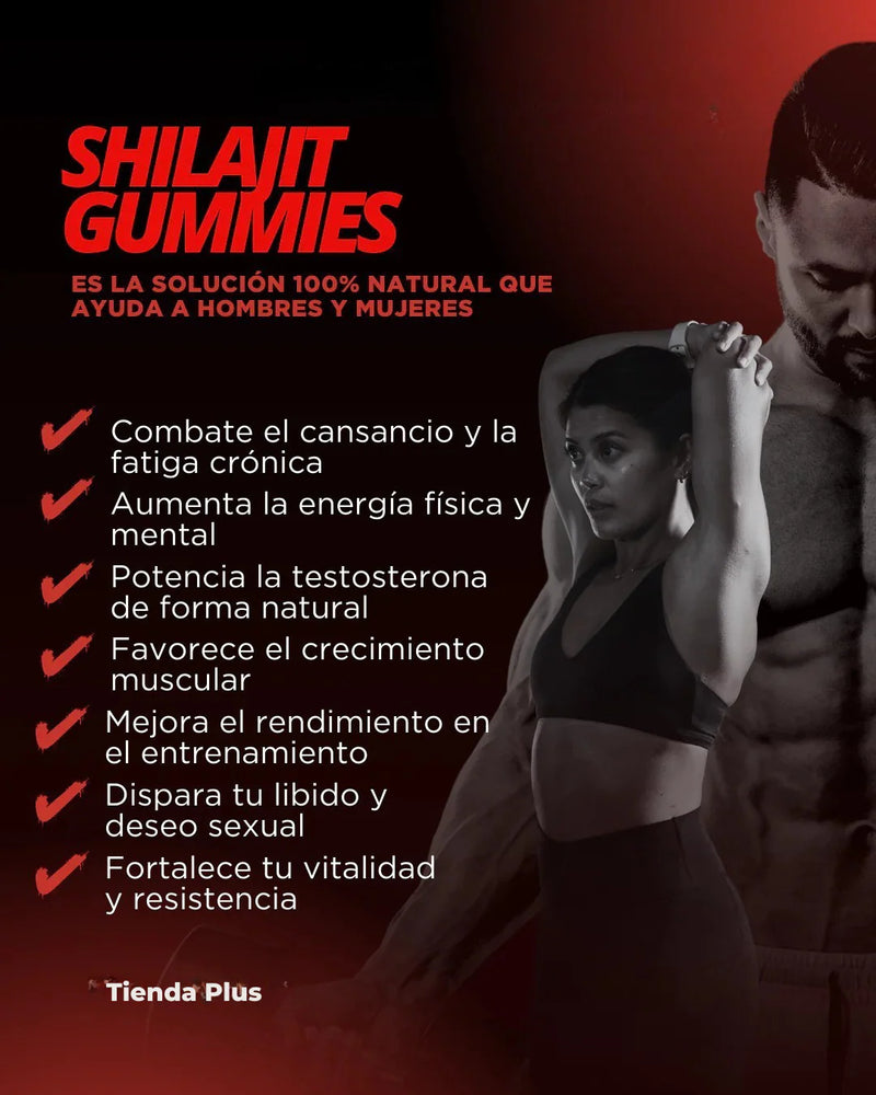 GOMAS SHILAJIT x 160g