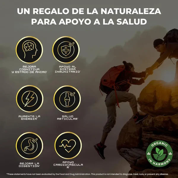 GOMAS SHILAJIT x 160g