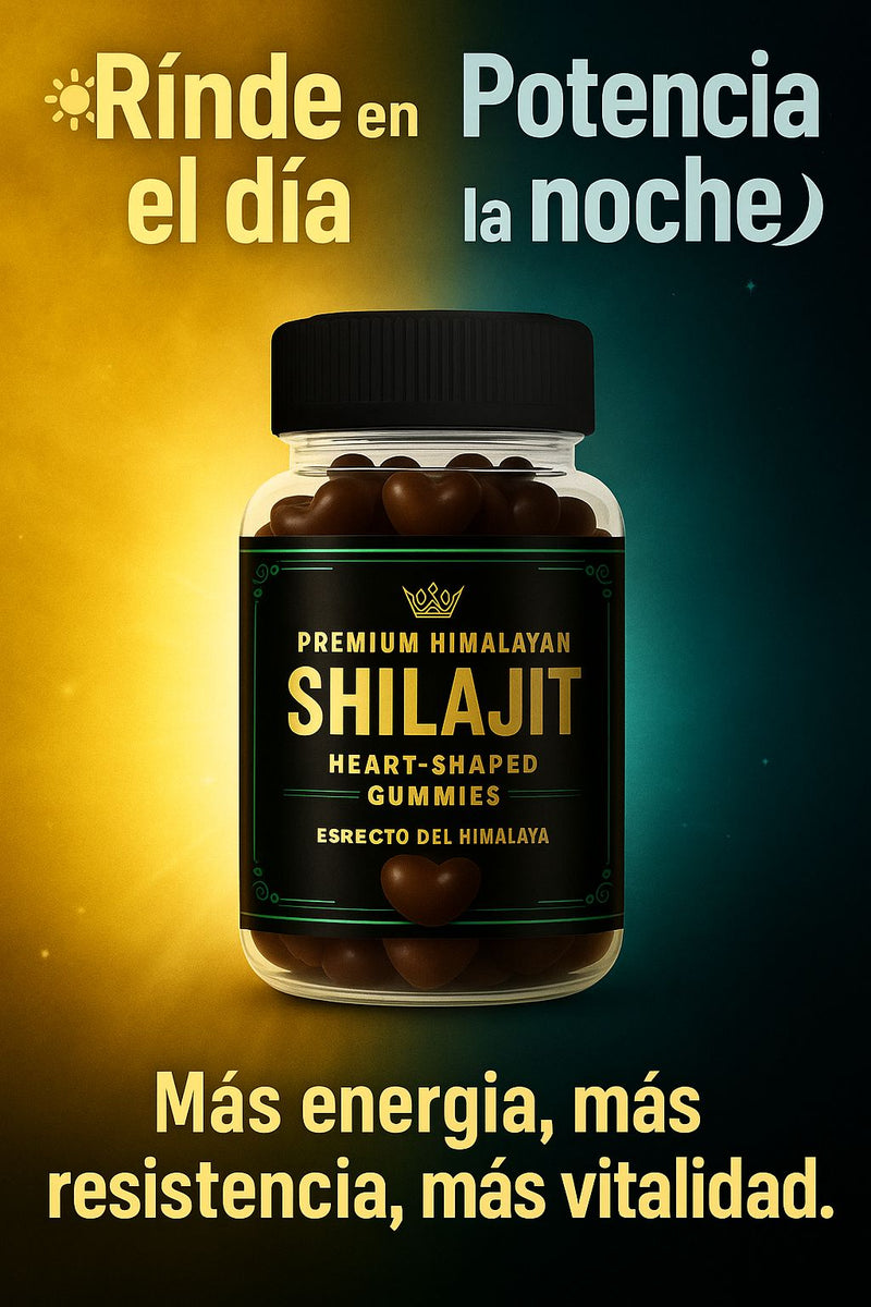 GOMAS SHILAJIT x 160g