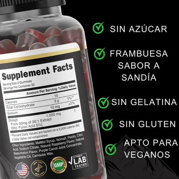 GOMAS SHILAJIT x 160g