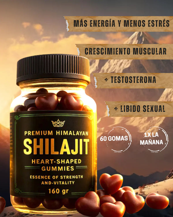 GOMAS SHILAJIT x 160g